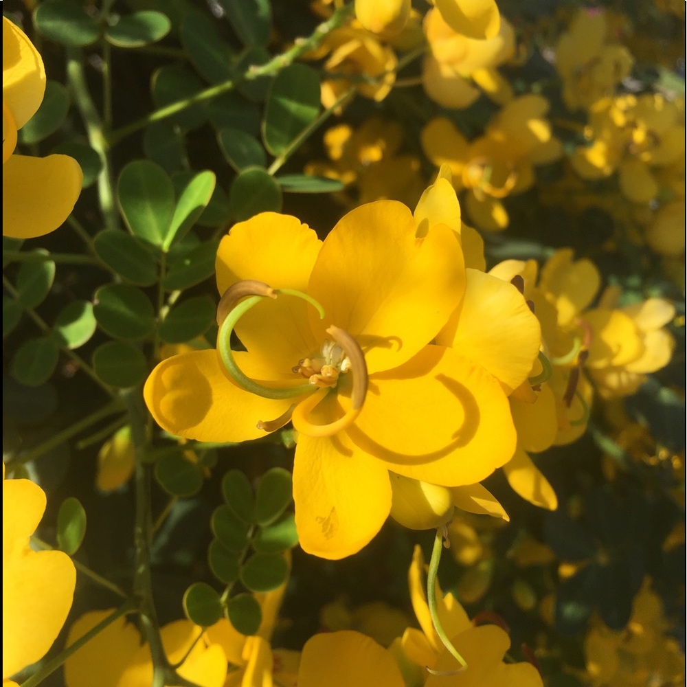 Meet your Posher, Tess